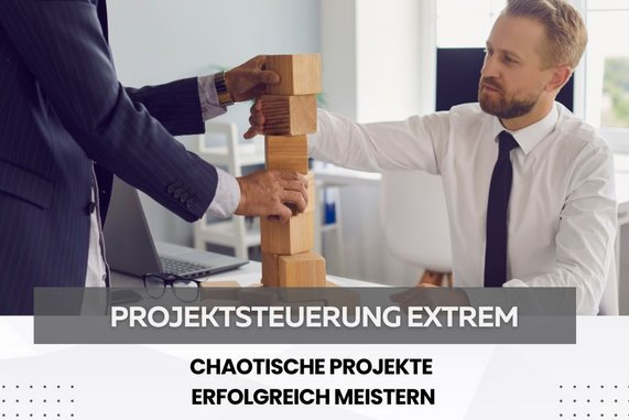 Steuerung und Controlling in Projekten