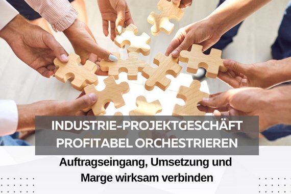 Industrie-Projektgeschäft profitabel orchestrieren